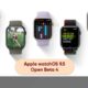 Apple watchOS 9.5 beta 4