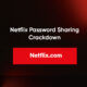 Netflix Password Crackdown subscribers
