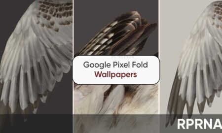 Download Google Pixel Fold wallpapers