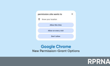Google Chrome Allow this time option