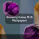 Samsung Galaxy M15 Wallpapers download
